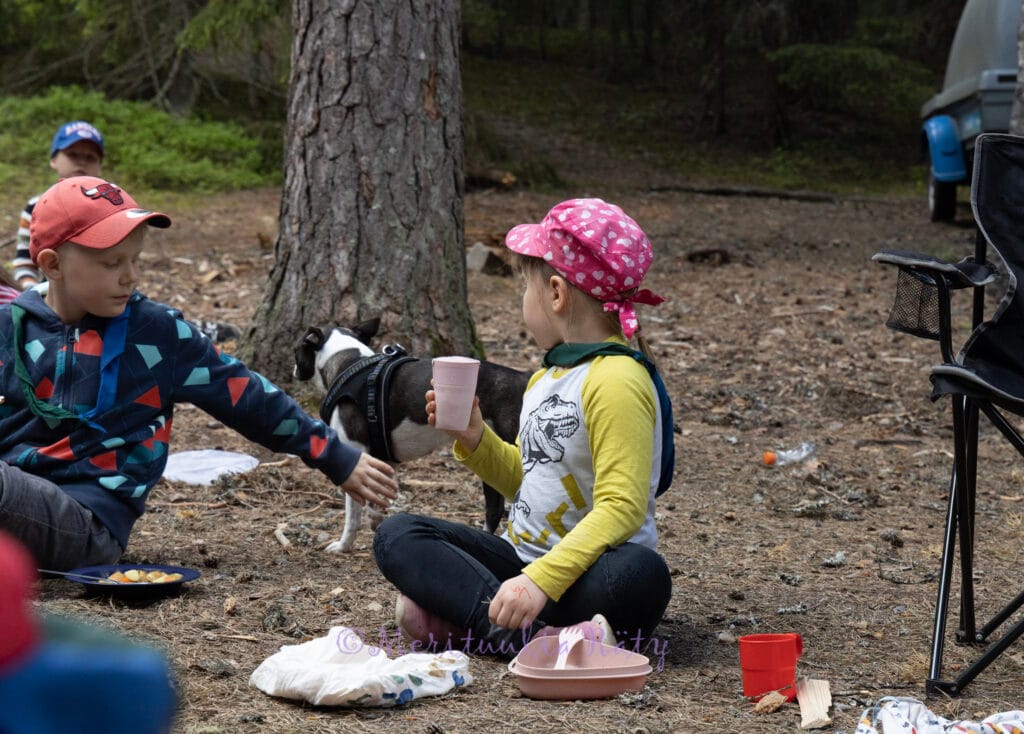 Perhepartion usein kysytyt kysymykset - Lue lisää